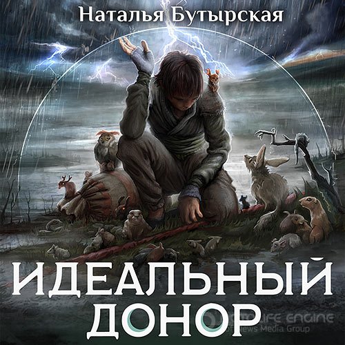 Обложка к /uploads/posts/2022-07/1658568889_4051_butirskaya_nataljya___idealjnij_donor__geroj.jpg