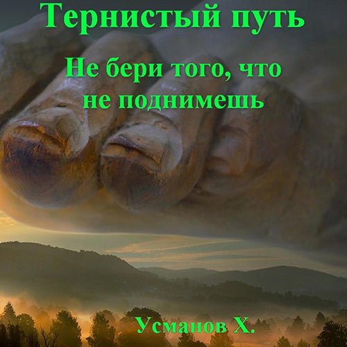 Обложка к /uploads/posts/2023-03/1679326574_2861_usmanov_hajdarali___ternistij_putj__ne_beri_togo__chto_ne_podnimeshj.jpg