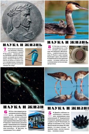 Обложка к /uploads/posts/2025-08/thumbs/1755337810_mycollages-2.jpg